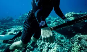 Dykare med harpun och klocka utforskar det djupa ocean x.